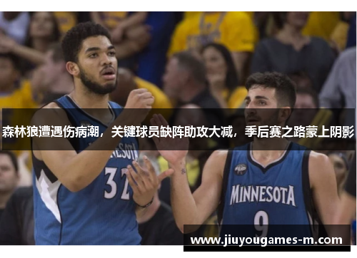 森林狼遭遇伤病潮，关键球员缺阵助攻大减，季后赛之路蒙上阴影