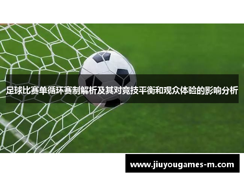 足球比赛单循环赛制解析及其对竞技平衡和观众体验的影响分析