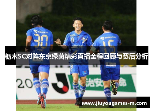 枥木SC对阵东京绿茵精彩直播全程回顾与赛后分析