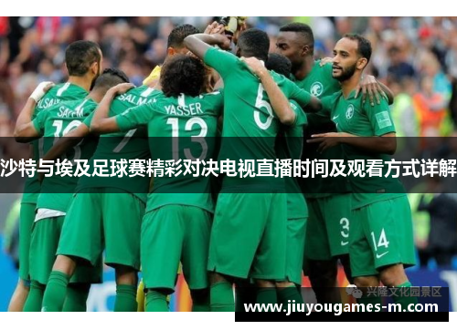 沙特与埃及足球赛精彩对决电视直播时间及观看方式详解